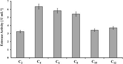 Together Is Better: The Rumen Microbial Community as Biological Toolbox for Degradation of Synthetic Polyesters